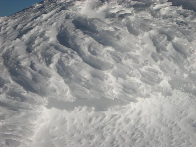 DSCN0433.JPG