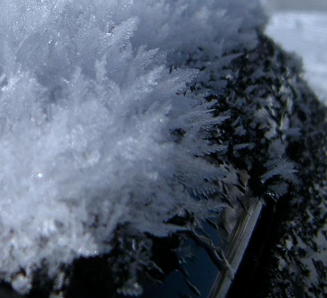 DSCN0472a.JPG