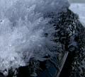 DSCN0472a