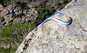 DSCN3399