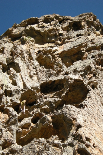 DSCN3464.JPG - sehr filigraner Tafoni