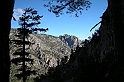 DSCN3445