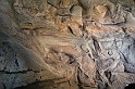 DSCN3451