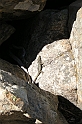 DSCN3457