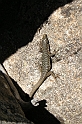 DSCN3459