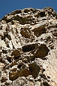DSCN3464