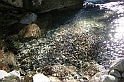 DSCN3466