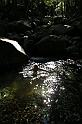 DSCN3467