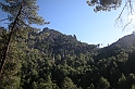 DSCN3469