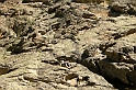 DSCN3484