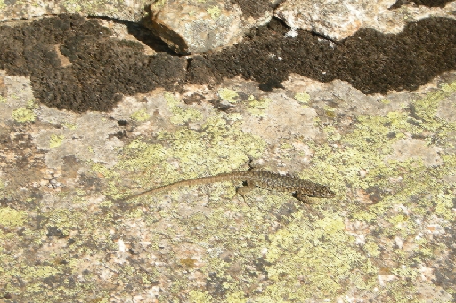 DSCN3502.JPG