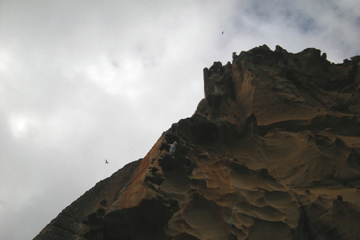 DSCN3504.JPG