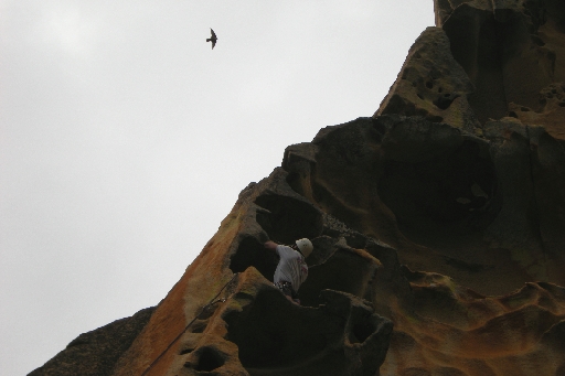 DSCN3505.JPG