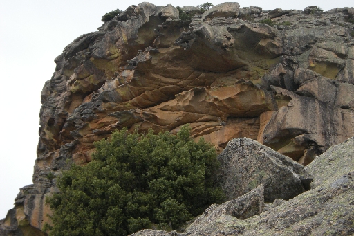 DSCN3531.JPG