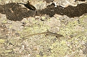 DSCN3502