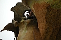 DSCN3507