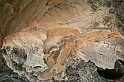 DSCN3508
