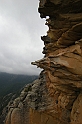 DSCN3519
