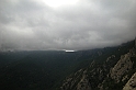 DSCN3529