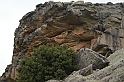 DSCN3531