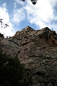 DSCN3533