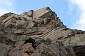 DSCN3535