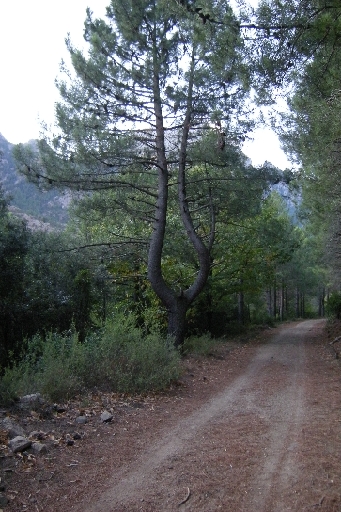 DSCN3543.JPG