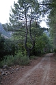 DSCN3543