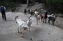 DSCN3545