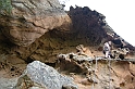 DSCN3550