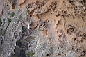 DSCN3553