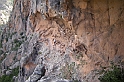 DSCN3554