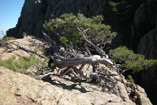 DSCN3583.JPG