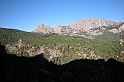 DSCN3577