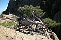 DSCN3583