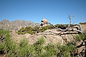 DSCN3585