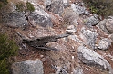 DSCN3538
