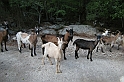 DSCN3546